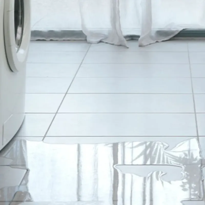Appliance Leak Cleanup in Travilah, MD